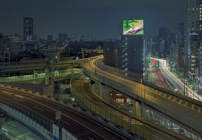 web-traffic